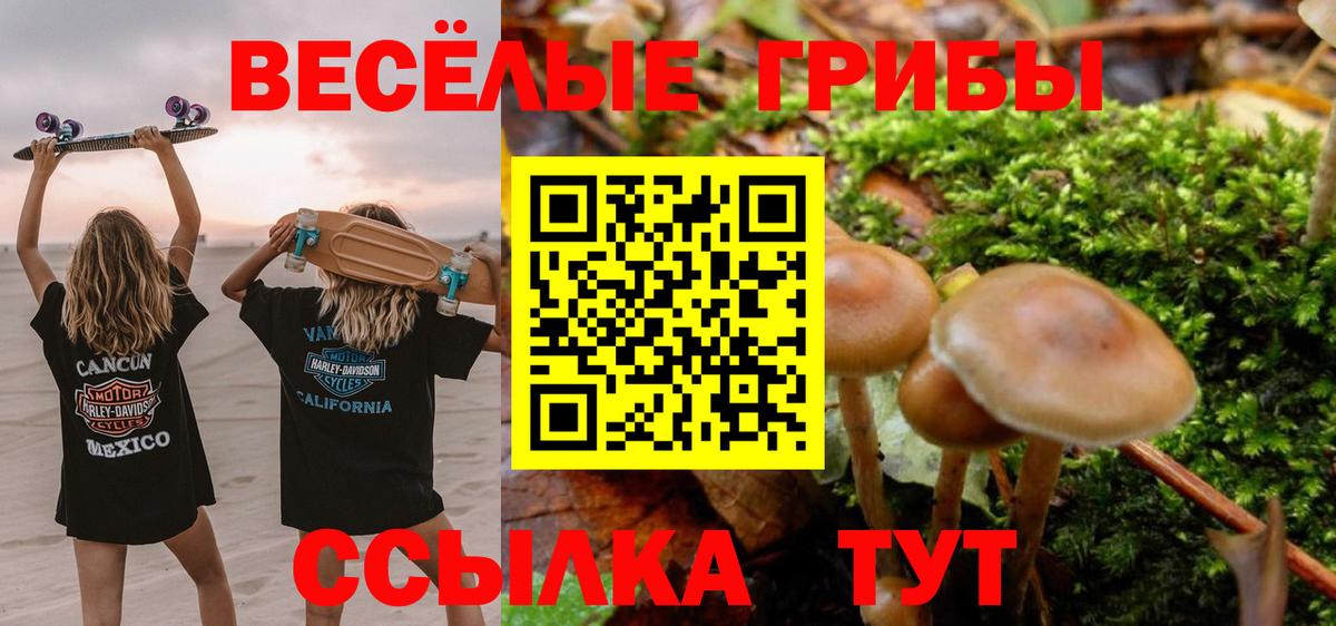 Острогожск  где купить наркоту  Вход с VPN  Галлюциногенные грибы мухоморы  Галлюциногенные грибы ЛСД 
