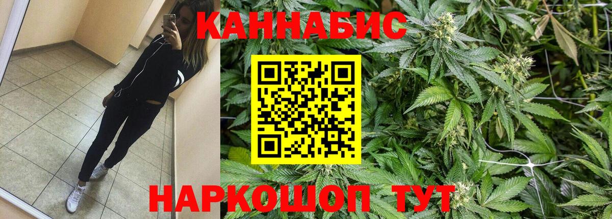 Каннабис планчик Острогожск